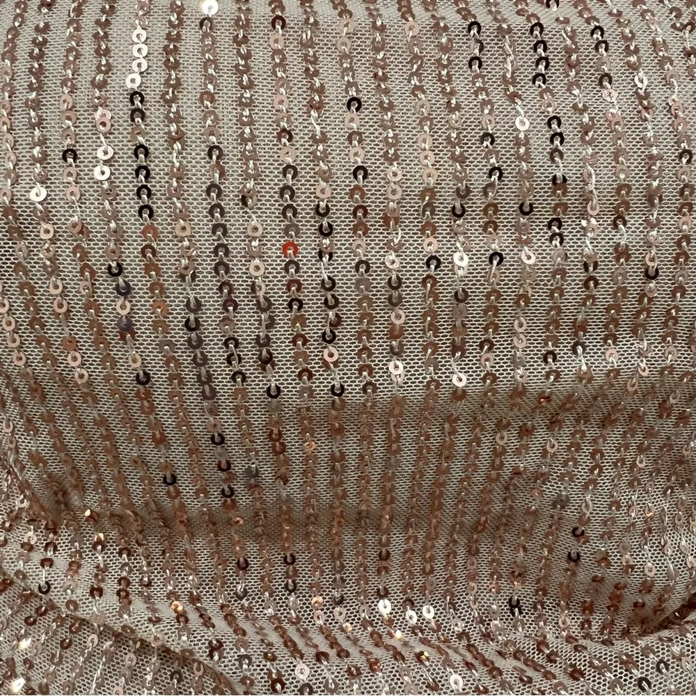 FAERIESTY Embellishment: Rose Gold Sequin Evening Dress - Picture 16 of 16